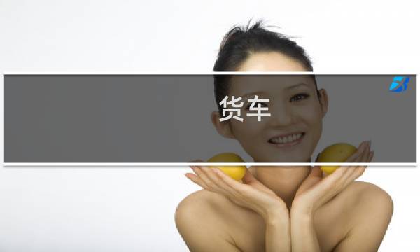 货车 集装箱 尺寸标准