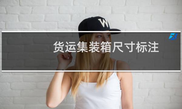 货运集装箱尺寸标注