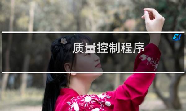 质量控制程序