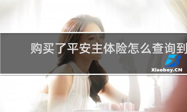 购买了平安主体险怎么查询到
