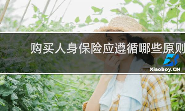 购买人身保险应遵循哪些原则