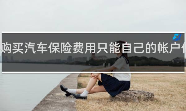 购买汽车保险费用只能自己的帐户付款吗