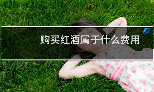 购买红酒属于什么费用