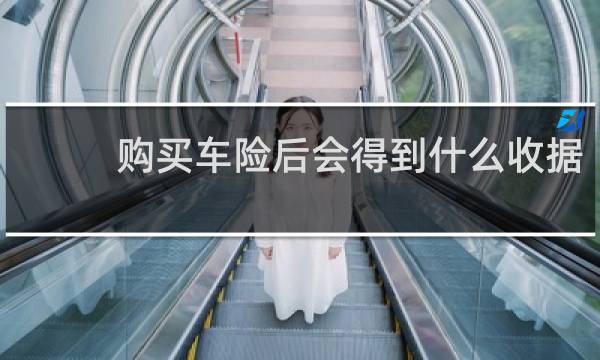 购买车险后会得到什么收据