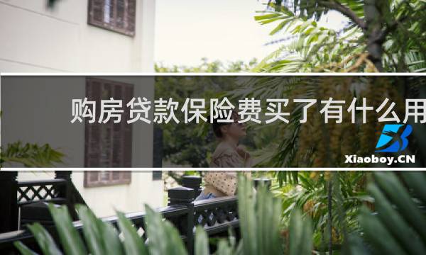 购房贷款保险费买了有什么用