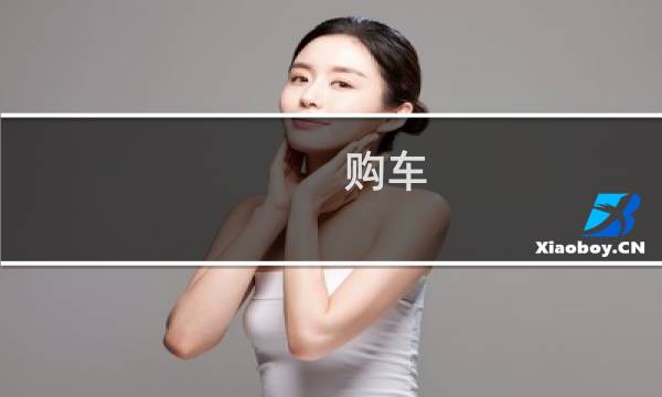 购车 攻略