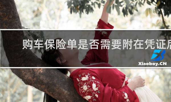 购车保险单是否需要附在凭证后