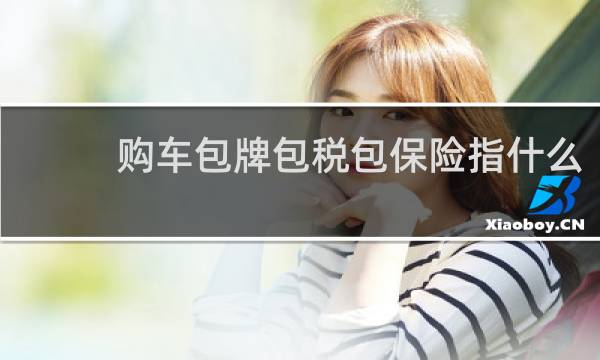 购车包牌包税包保险指什么
