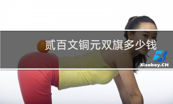贰百文铜元双旗多少钱