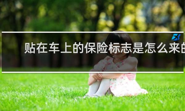 贴在车上的保险标志是怎么来的