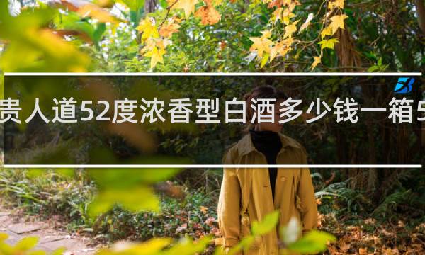 贵人道52度浓香型白酒多少钱一箱500ml