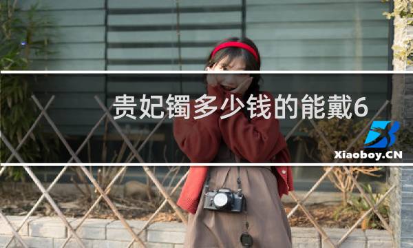 贵妃镯多少钱的能戴6