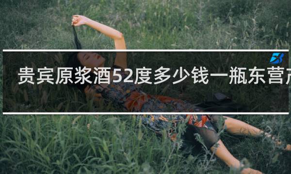 贵宾原浆酒52度多少钱一瓶东营产的