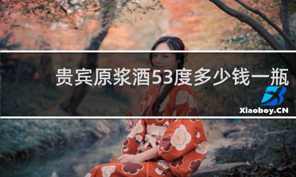 贵宾原浆酒53度多少钱一瓶