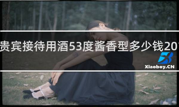 贵宾接待用酒53度酱香型多少钱2014年7.5平方公里