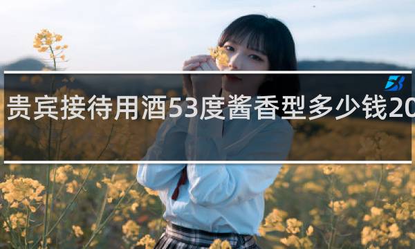 贵宾接待用酒53度酱香型多少钱2021年