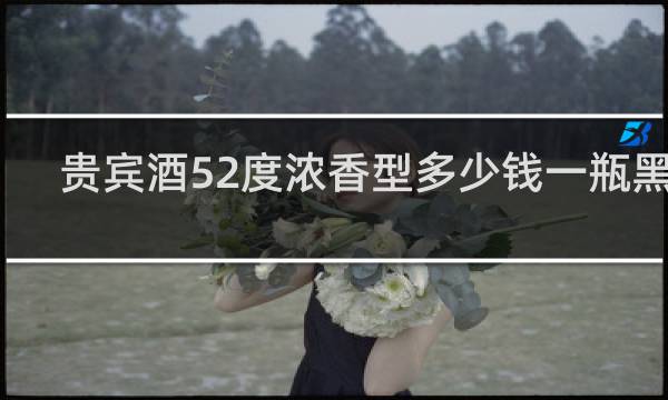 贵宾酒52度浓香型多少钱一瓶黑金
