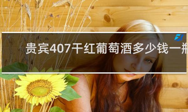 贵宾407干红葡萄酒多少钱一瓶