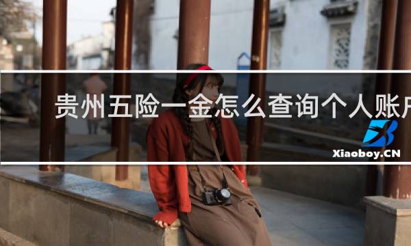 贵州五险一金怎么查询个人账户