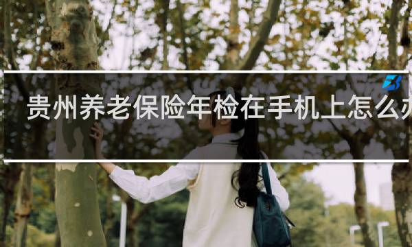贵州养老保险年检在手机上怎么办理