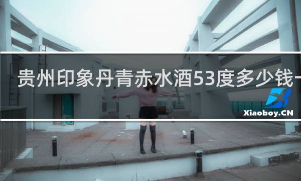 贵州印象丹青赤水酒53度多少钱一瓶