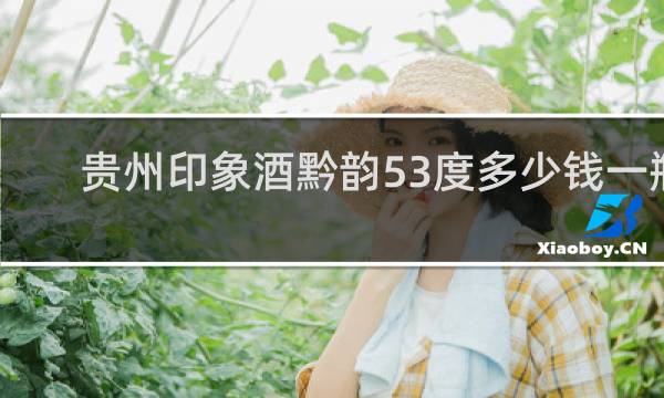 贵州印象酒黔韵53度多少钱一瓶