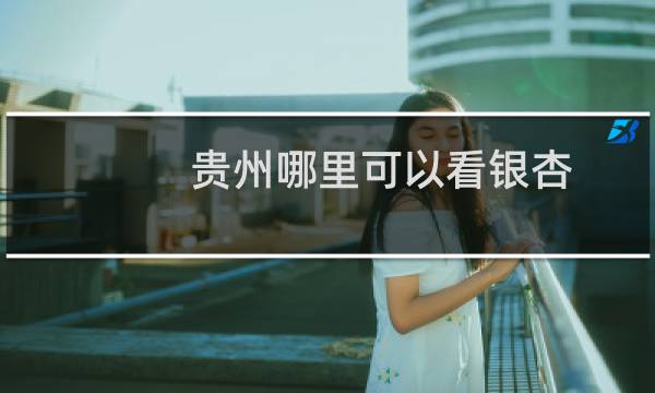 贵州哪里可以看银杏