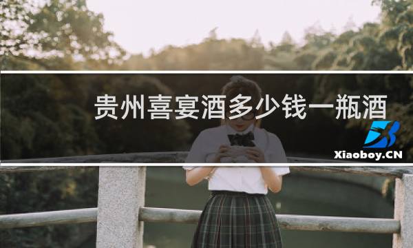 贵州喜宴酒多少钱一瓶酒