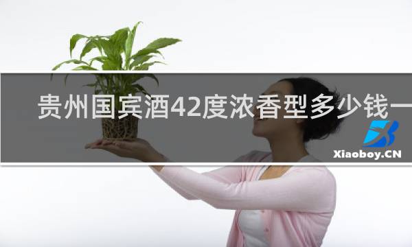 贵州国宾酒42度浓香型多少钱一瓶