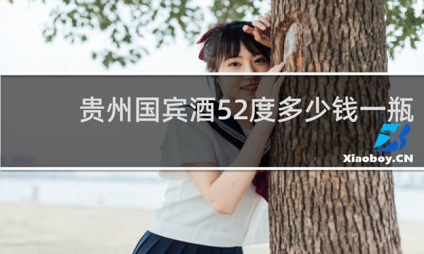 贵州国宾酒52度多少钱一瓶