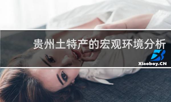 贵州土特产的宏观环境分析