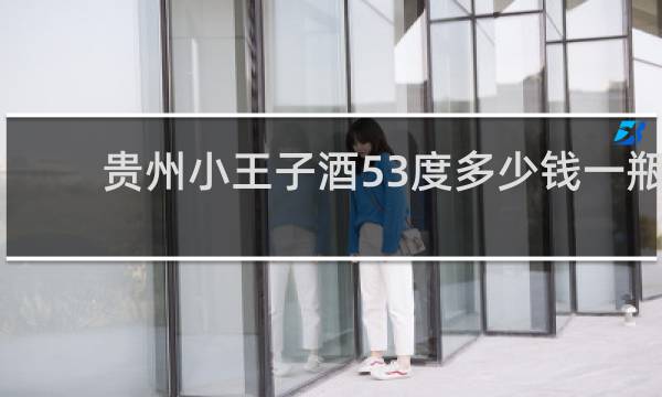 贵州小王子酒53度多少钱一瓶