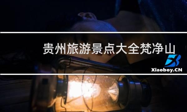 贵州旅游景点大全梵净山