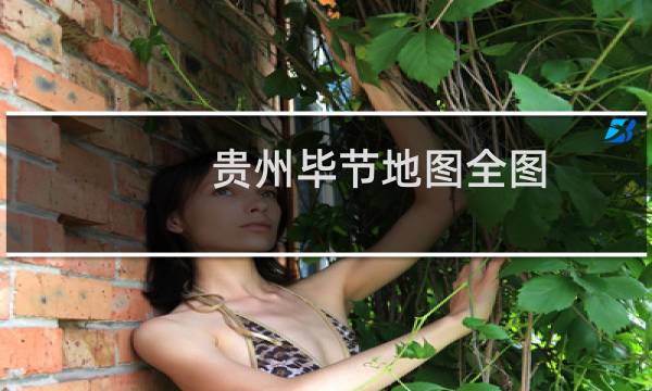 貴州畢節(jié)地圖全圖
