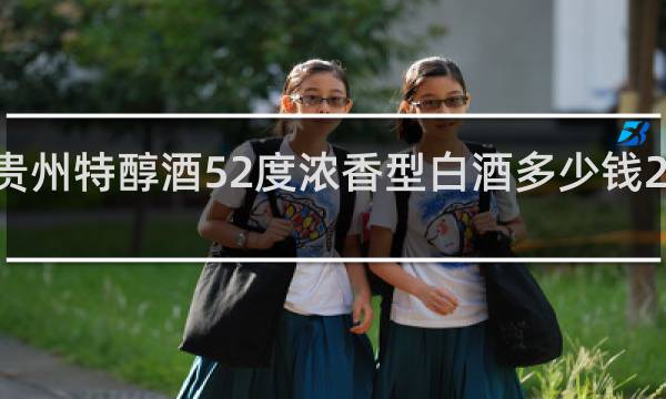 贵州特醇酒52度浓香型白酒多少钱2008年