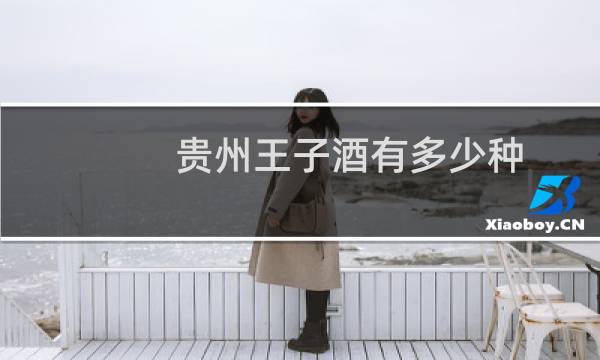 贵州王子酒有多少种