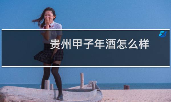 贵州甲子年酒怎么样