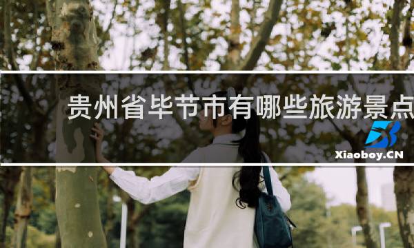 贵州省毕节市有哪些旅游景点
