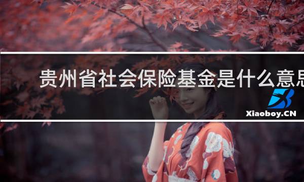 贵州省社会保险基金是什么意思