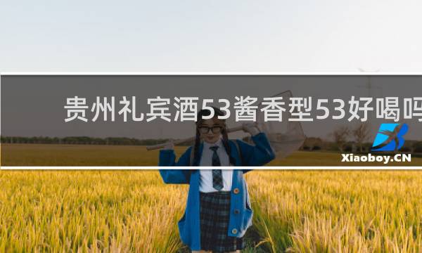 贵州礼宾酒53酱香型53好喝吗