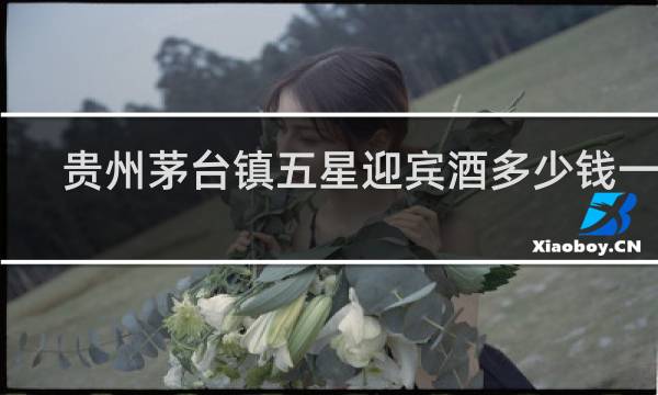 贵州茅台镇五星迎宾酒多少钱一瓶