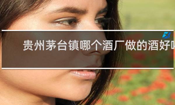 贵州茅台镇哪个酒厂做的酒好喝