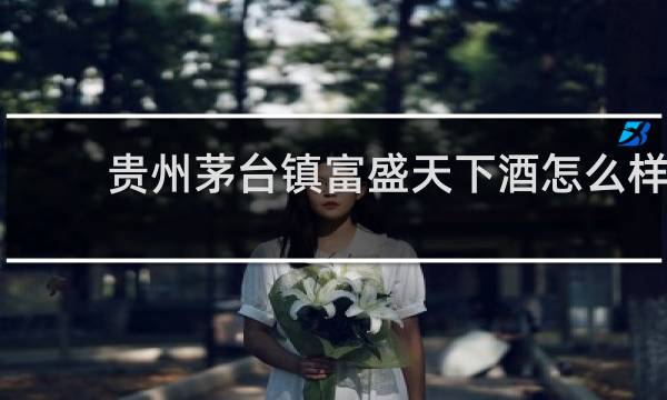 贵州茅台镇富盛天下酒怎么样