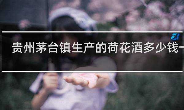 贵州茅台镇生产的荷花酒多少钱一瓶