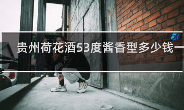 贵州荷花酒53度酱香型多少钱一瓶