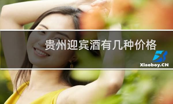 贵州迎宾酒有几种价格