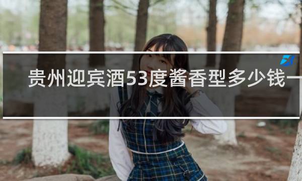 贵州迎宾酒53度酱香型多少钱一箱
