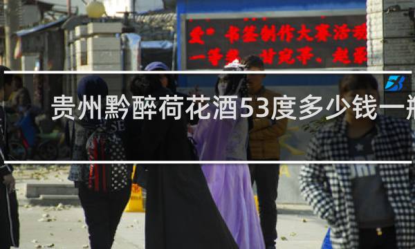 贵州黔醉荷花酒53度多少钱一瓶