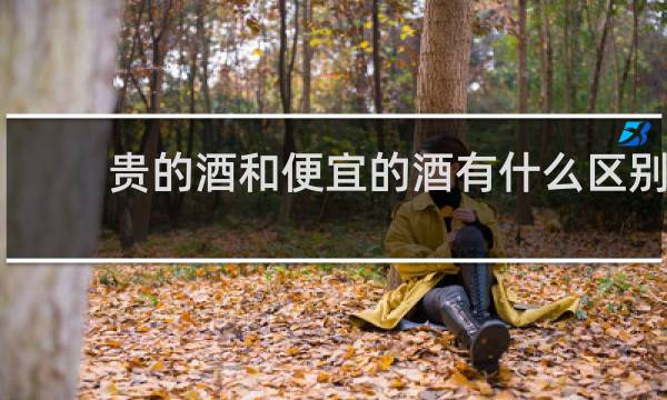 贵的酒和便宜的酒有什么区别