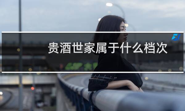 贵酒世家属于什么档次